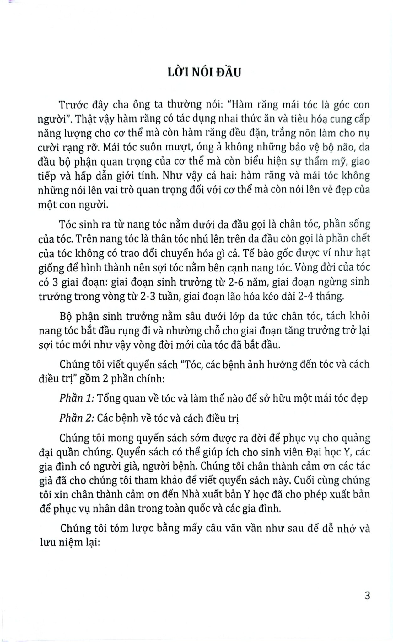 Tóc Các Bệnh Ảnh Hưởng Đến Tóc Và Cách Điều Trị