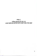 Tóc Các Bệnh Ảnh Hưởng Đến Tóc Và Cách Điều Trị