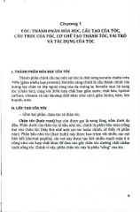 Tóc Các Bệnh Ảnh Hưởng Đến Tóc Và Cách Điều Trị