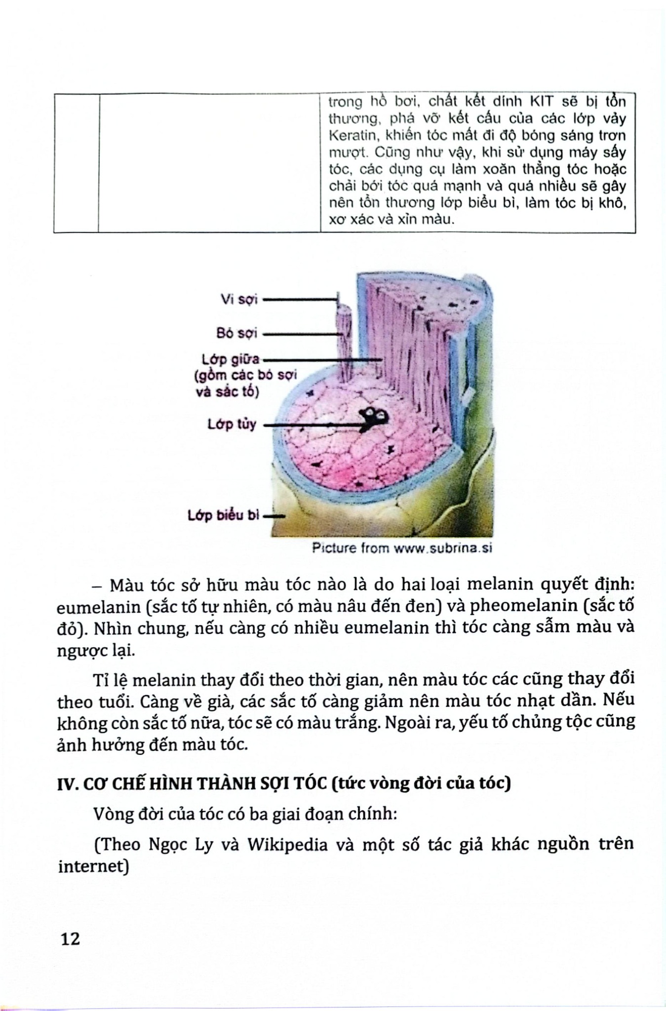 Tóc Các Bệnh Ảnh Hưởng Đến Tóc Và Cách Điều Trị