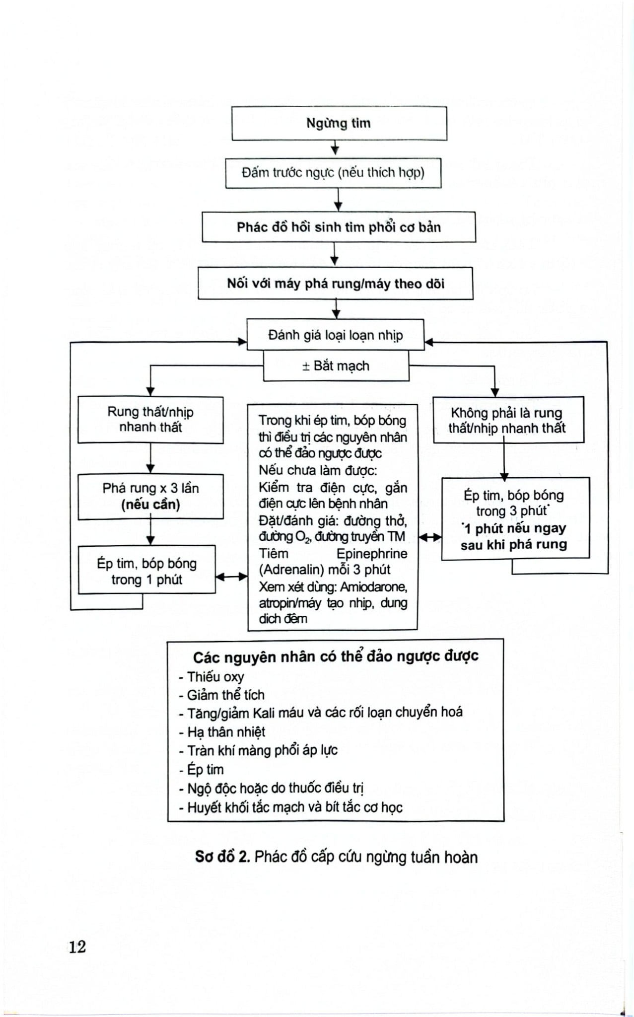 Thực Hành Bệnh Tim Mạch - GS.TS. Nguyễn Lân Việt