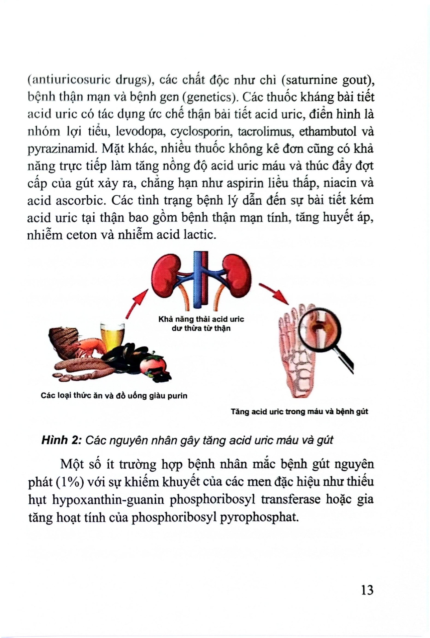 Bệnh Gút Từ Khoa Học Cơ Sở Đến Thực Hành Lâm Sàng - PGS.TS. Huỳnh Quang Thuận, TS. Lê Quốc Tuấn
