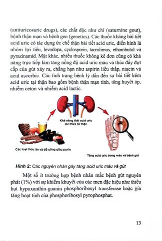  Bệnh Gút Từ Khoa Học Cơ Sở Đến Thực Hành Lâm Sàng - PGS.TS. Huỳnh Quang Thuận, TS. Lê Quốc Tuấn 