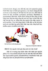Bệnh Gút Từ Khoa Học Cơ Sở Đến Thực Hành Lâm Sàng - PGS.TS. Huỳnh Quang Thuận, TS. Lê Quốc Tuấn
