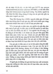 Rối Loạn Tâm Thần Ở Người Cao Tuổi - PGS.TS. Bùi Quang Huy