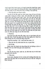 Cấp Cứu Hồi Sức Nhi Khoa Tập 1 - Triệu Chứng, C.Đoán, Đ.Trị - PGS.TS. Phạm Văn Thắng