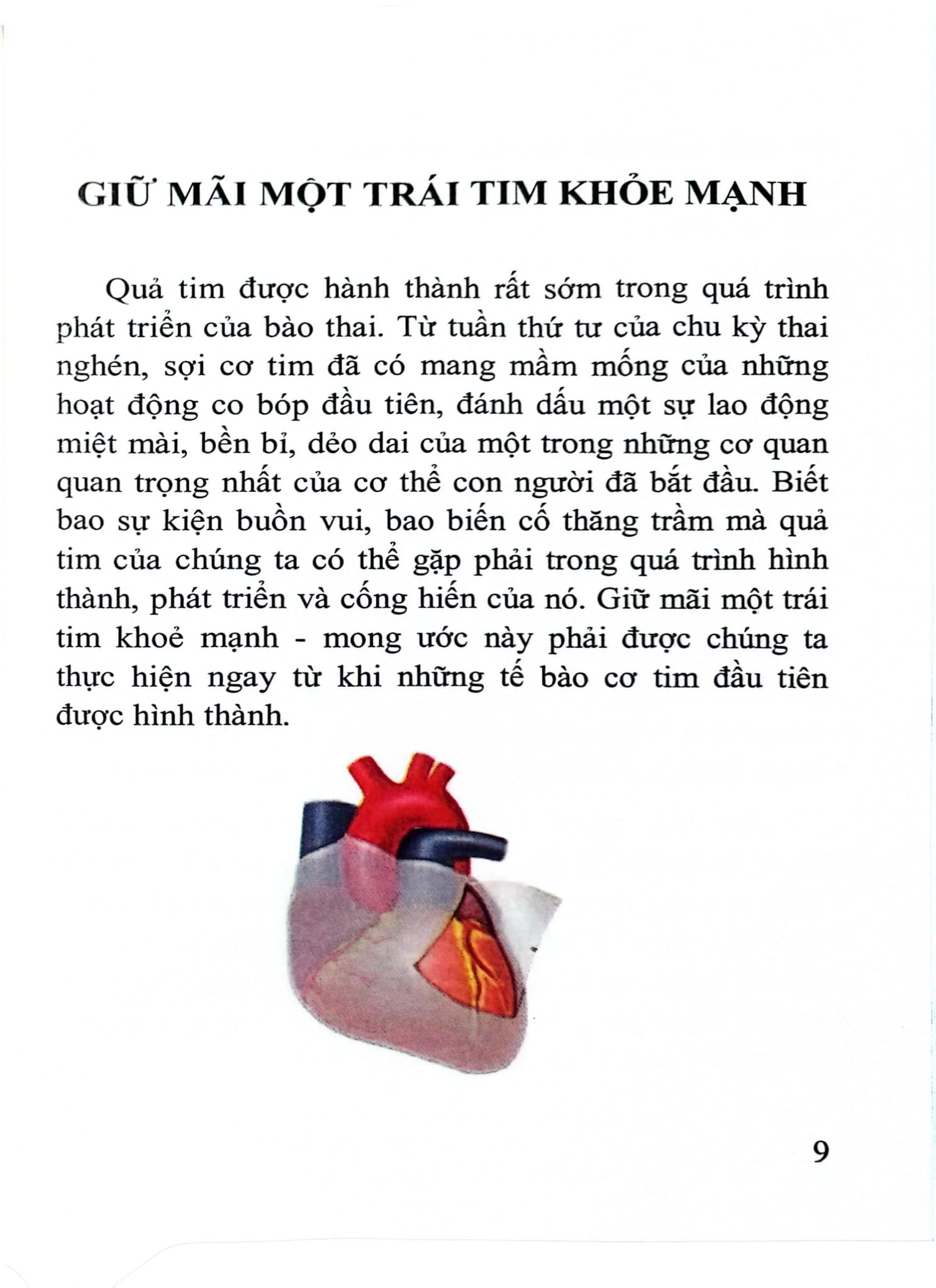 Những Điều Cần Biết Về Bệnh Tim Mạch Dành Cho Bạn Tập 1 - TTUT.PGS.TS.BS. Tạ Mạnh Cường