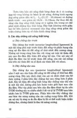 Đau Thắt Lưng Và Thoát Vị Đĩa Đệm - PGS. TS. Hồ Hữu Lương