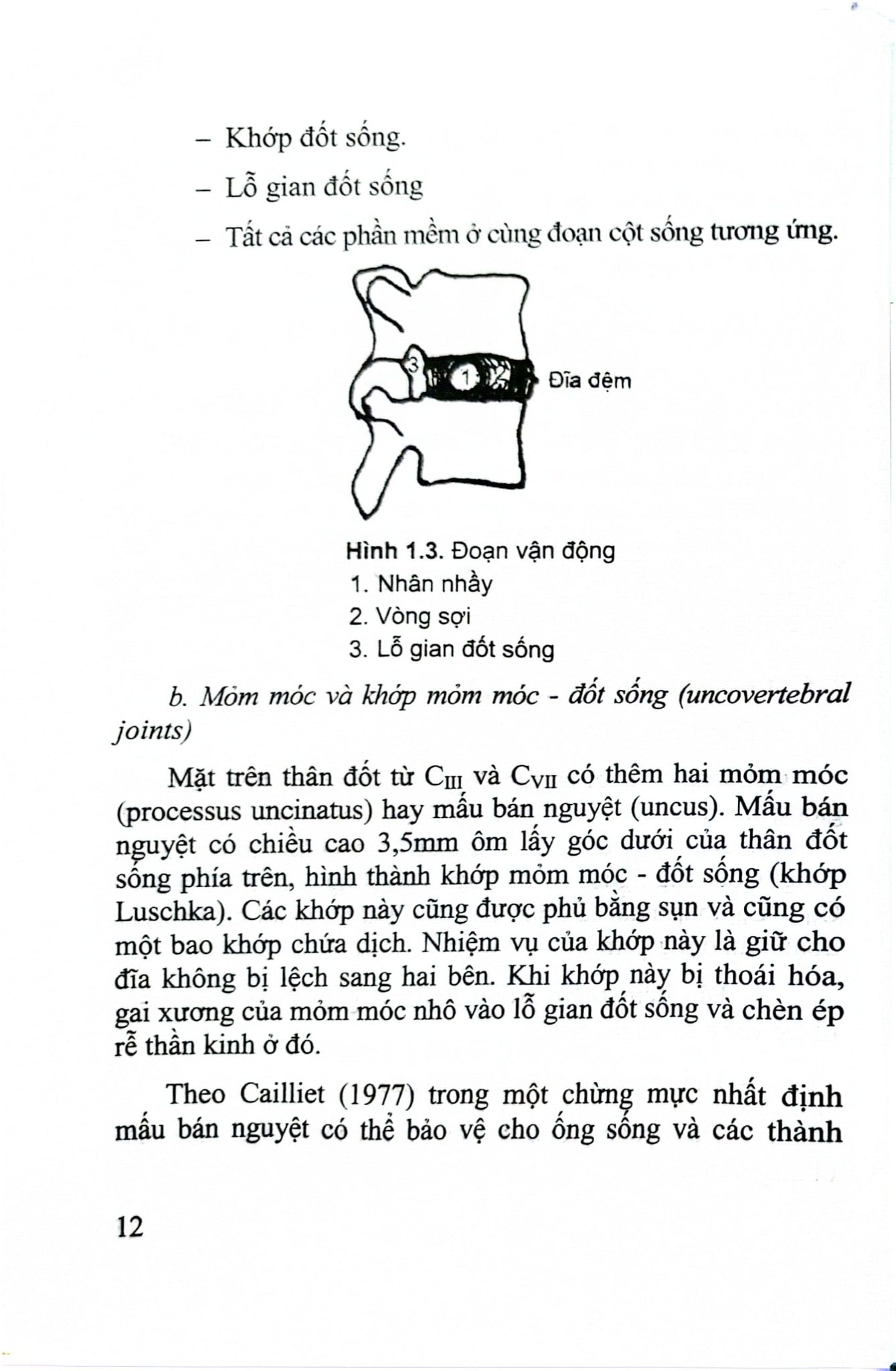Thoái Hóa Cột Sống Cổ Và Thoát Vị Đĩa Đệm - GS.TS.GVCC. Hồ Hữu Lương
