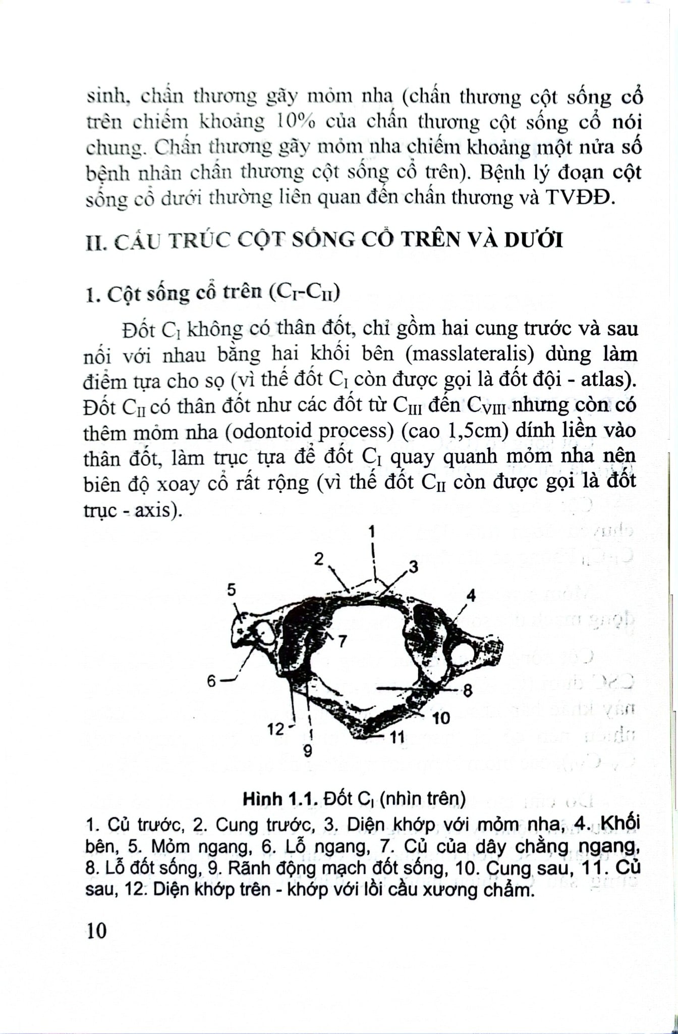 Thoái Hóa Cột Sống Cổ Và Thoát Vị Đĩa Đệm - GS.TS.GVCC. Hồ Hữu Lương