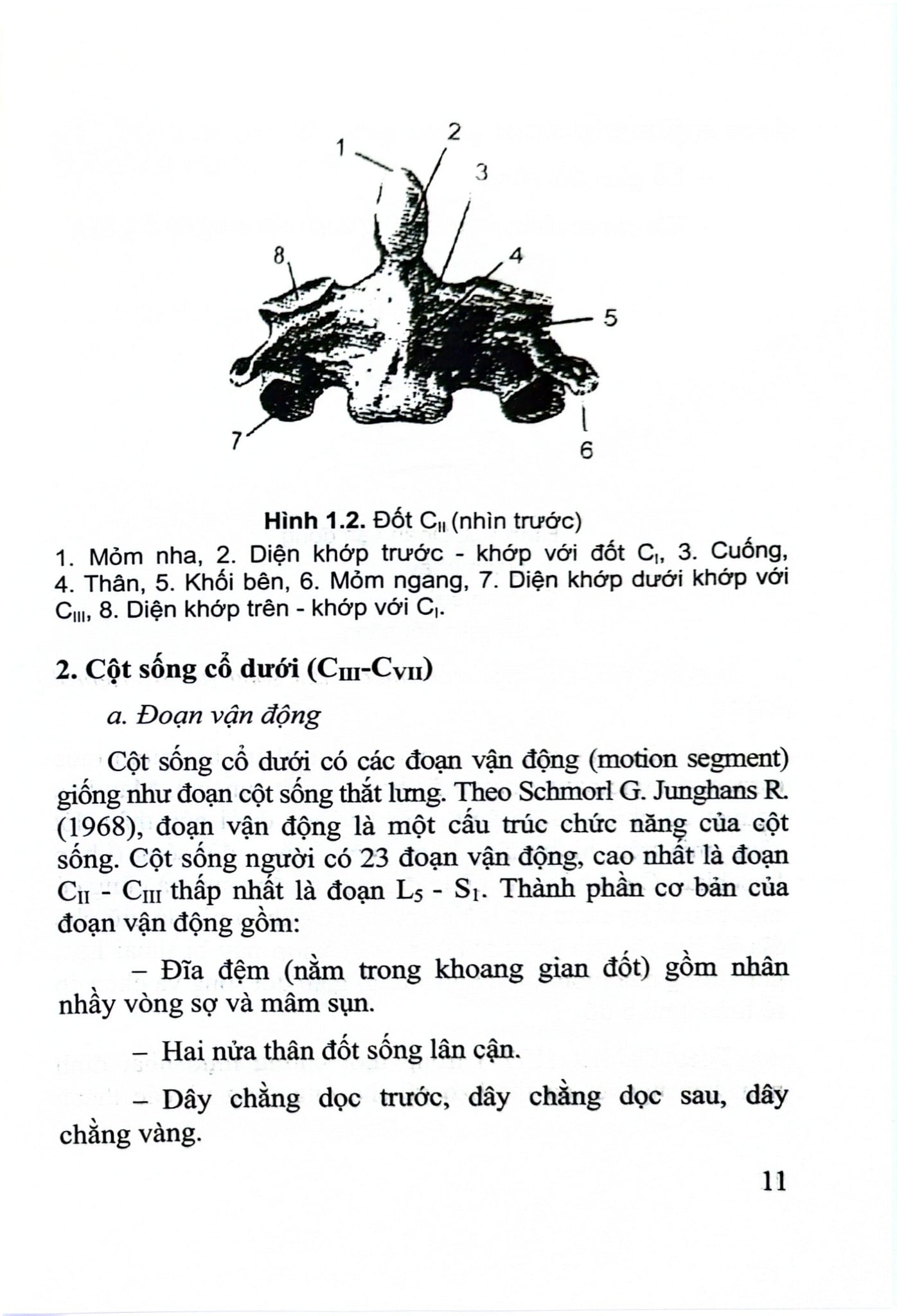 Thoái Hóa Cột Sống Cổ Và Thoát Vị Đĩa Đệm - GS.TS.GVCC. Hồ Hữu Lương
