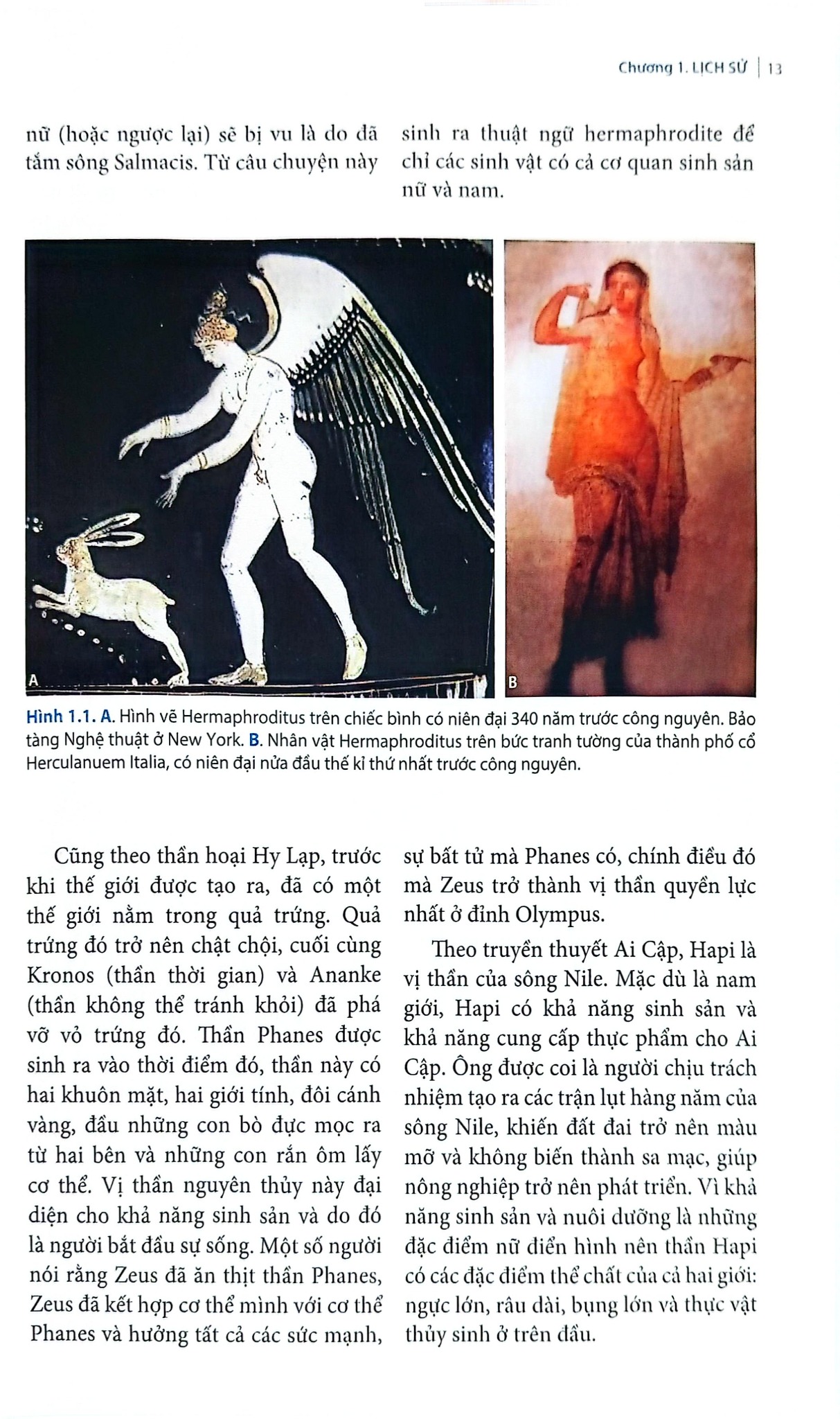 Hội Chứng Không Nhạy Cảm Androgen Lưỡng Giới Giả Nam - ĐH Y Hà Nội, Trần Thiết Sơn