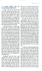 Hội Chứng Không Nhạy Cảm Androgen Lưỡng Giới Giả Nam - ĐH Y Hà Nội, Trần Thiết Sơn