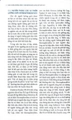 Hội Chứng Không Nhạy Cảm Androgen Lưỡng Giới Giả Nam - ĐH Y Hà Nội, Trần Thiết Sơn