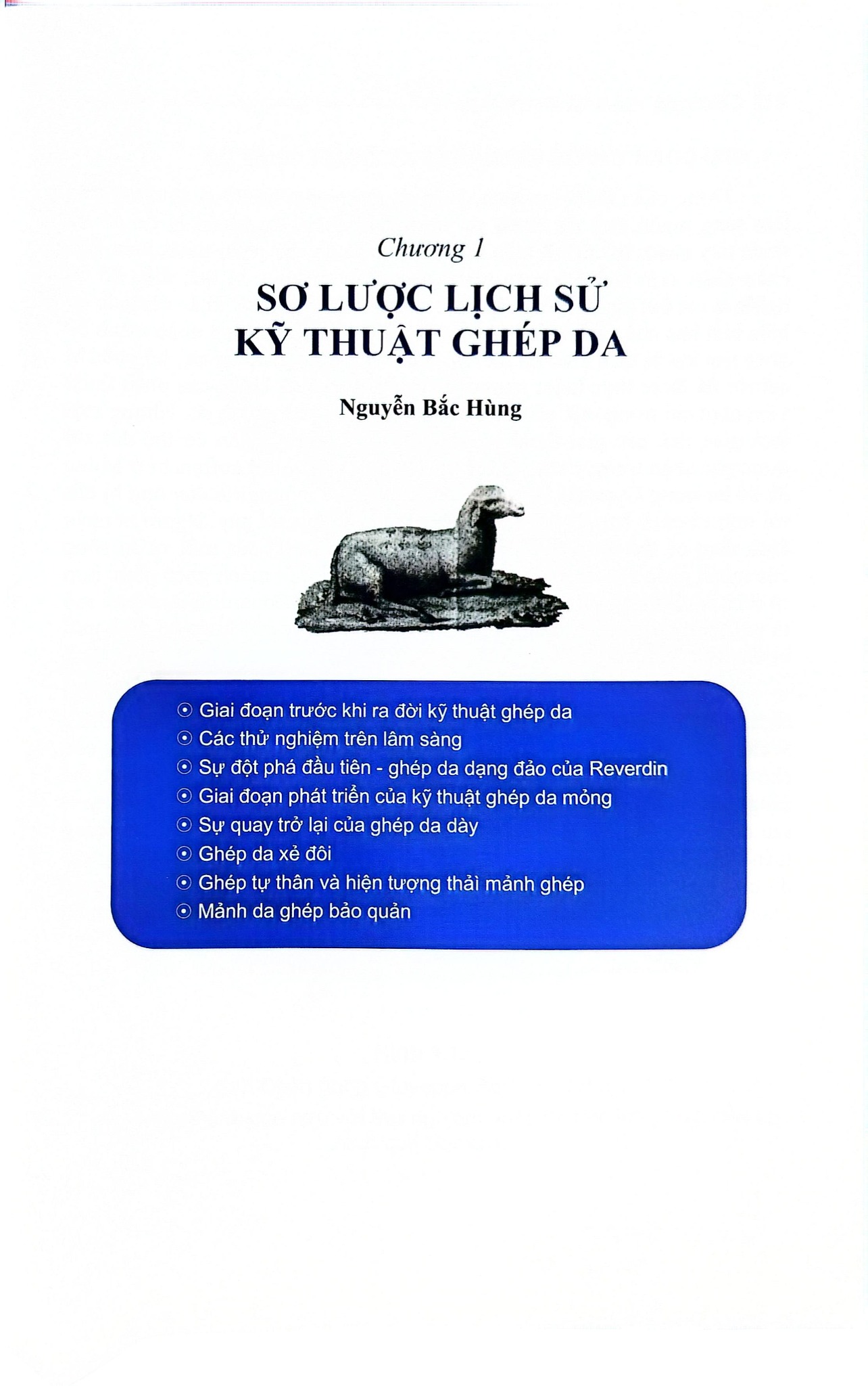 Ghép Da Trong Phẫu Thuật Tạo Hình Thẩm Mỹ - ĐH Y Hà Nội, PGS.TS. Trần Thiết Sơn, PGS.TS. Nguyễn Bắc Hùng, …