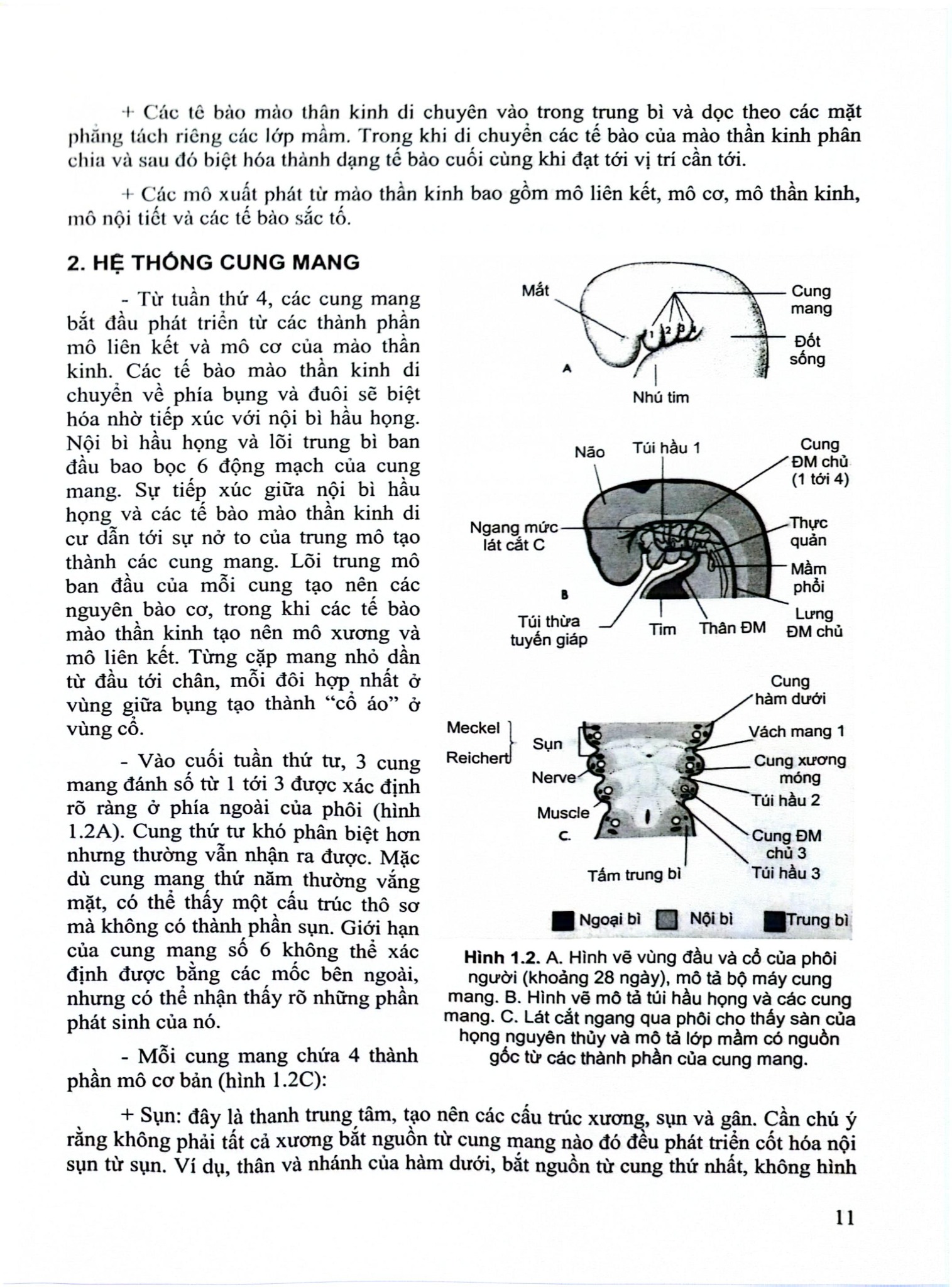 Các Vấn Đề Cơ Bản Trong Phẫu Thuật Tạo Hình Thẩm Mỹ (Phần 3: Đầu Mặt Cổ) - ĐH Y Hà Nội, PGS.TS Trần Thiết Sơn