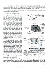 Các Vấn Đề Cơ Bản Trong Phẫu Thuật Tạo Hình Thẩm Mỹ (Phần 3: Đầu Mặt Cổ) - ĐH Y Hà Nội, PGS.TS Trần Thiết Sơn