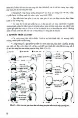 Các Vấn Đề Cơ Bản Trong Phẫu Thuật Tạo Hình Thẩm Mỹ (Phần 3: Đầu Mặt Cổ) - ĐH Y Hà Nội, PGS.TS Trần Thiết Sơn