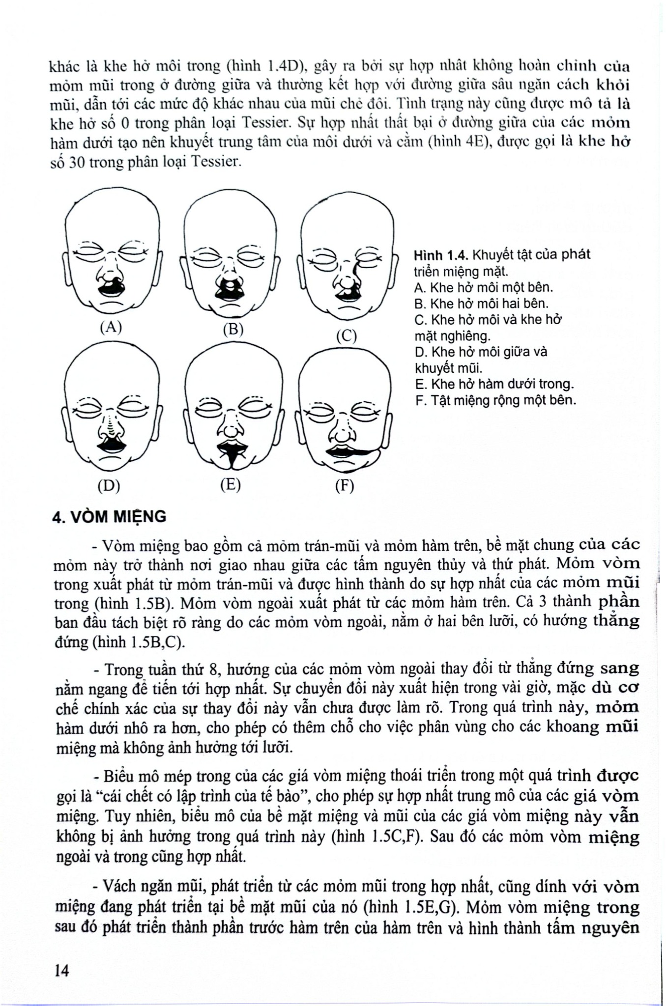 Các Vấn Đề Cơ Bản Trong Phẫu Thuật Tạo Hình Thẩm Mỹ (Phần 3: Đầu Mặt Cổ) - ĐH Y Hà Nội, PGS.TS Trần Thiết Sơn
