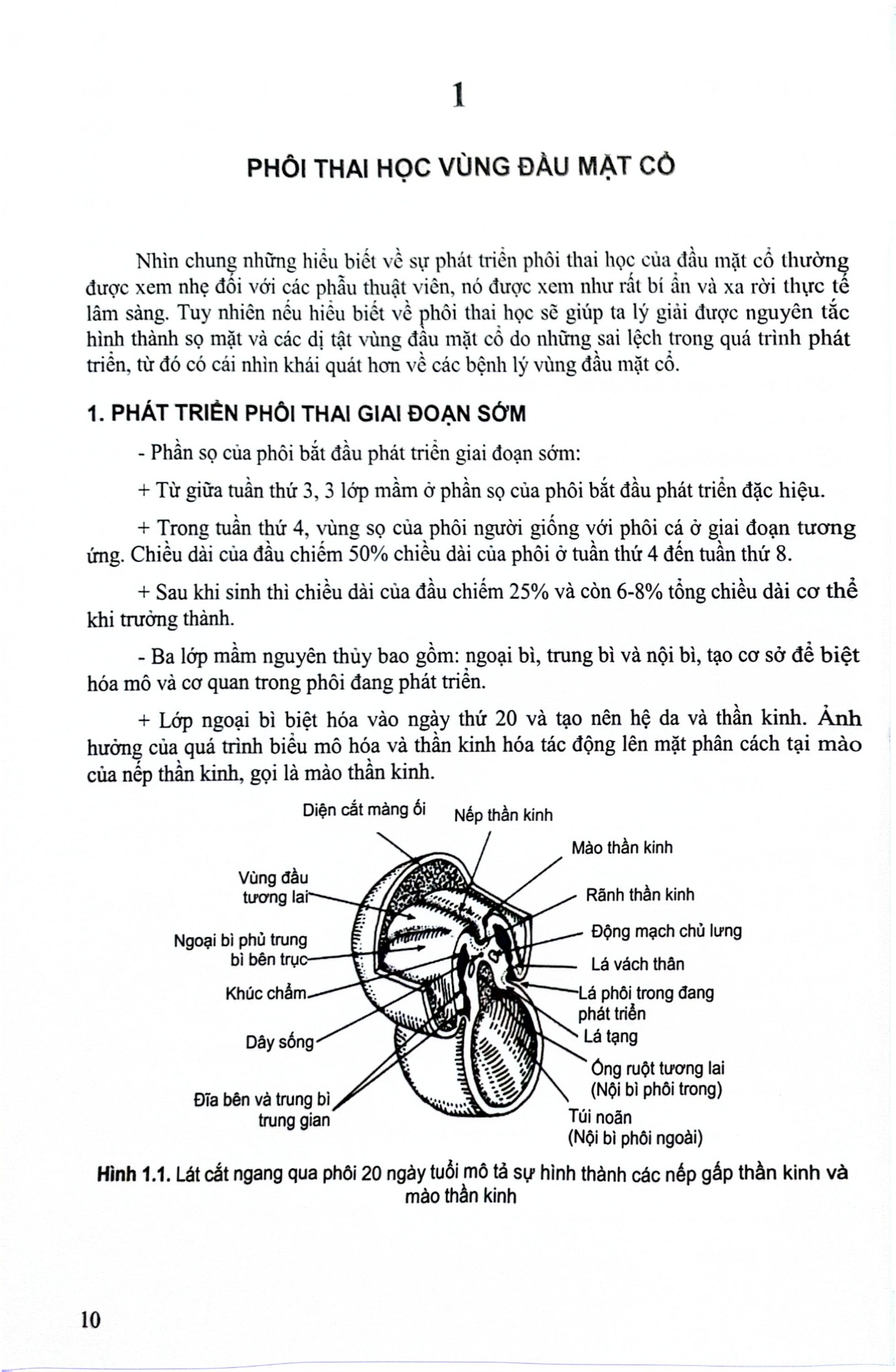 Các Vấn Đề Cơ Bản Trong Phẫu Thuật Tạo Hình Thẩm Mỹ (Phần 3: Đầu Mặt Cổ) - ĐH Y Hà Nội, PGS.TS Trần Thiết Sơn