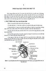 Các Vấn Đề Cơ Bản Trong Phẫu Thuật Tạo Hình Thẩm Mỹ (Phần 3: Đầu Mặt Cổ) - ĐH Y Hà Nội, PGS.TS Trần Thiết Sơn