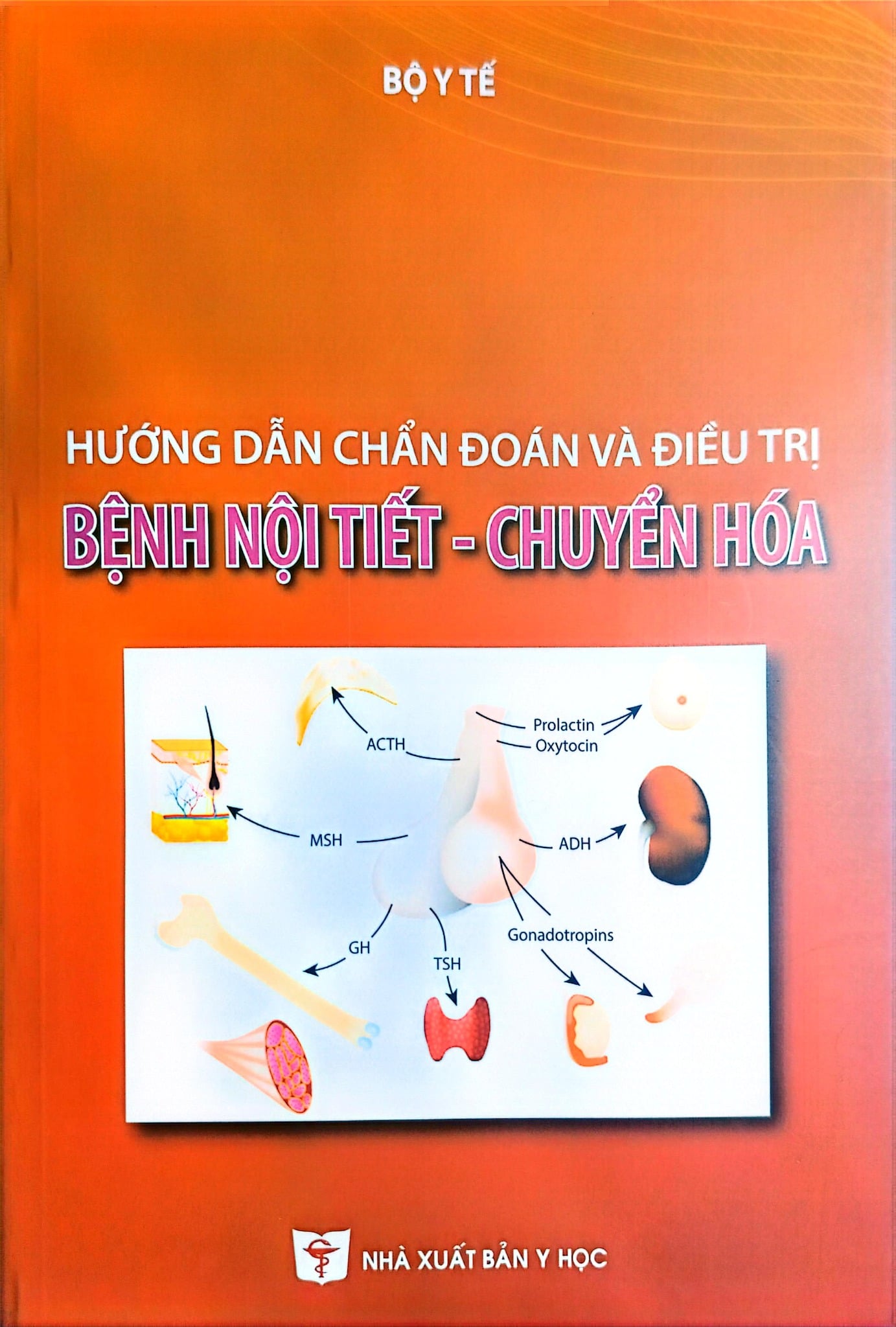 Hướng Dẫn Chẩn Đoán Và Điều Trị Bệnh Nội Tiết Chuyển Hóa - Bộ Y tế