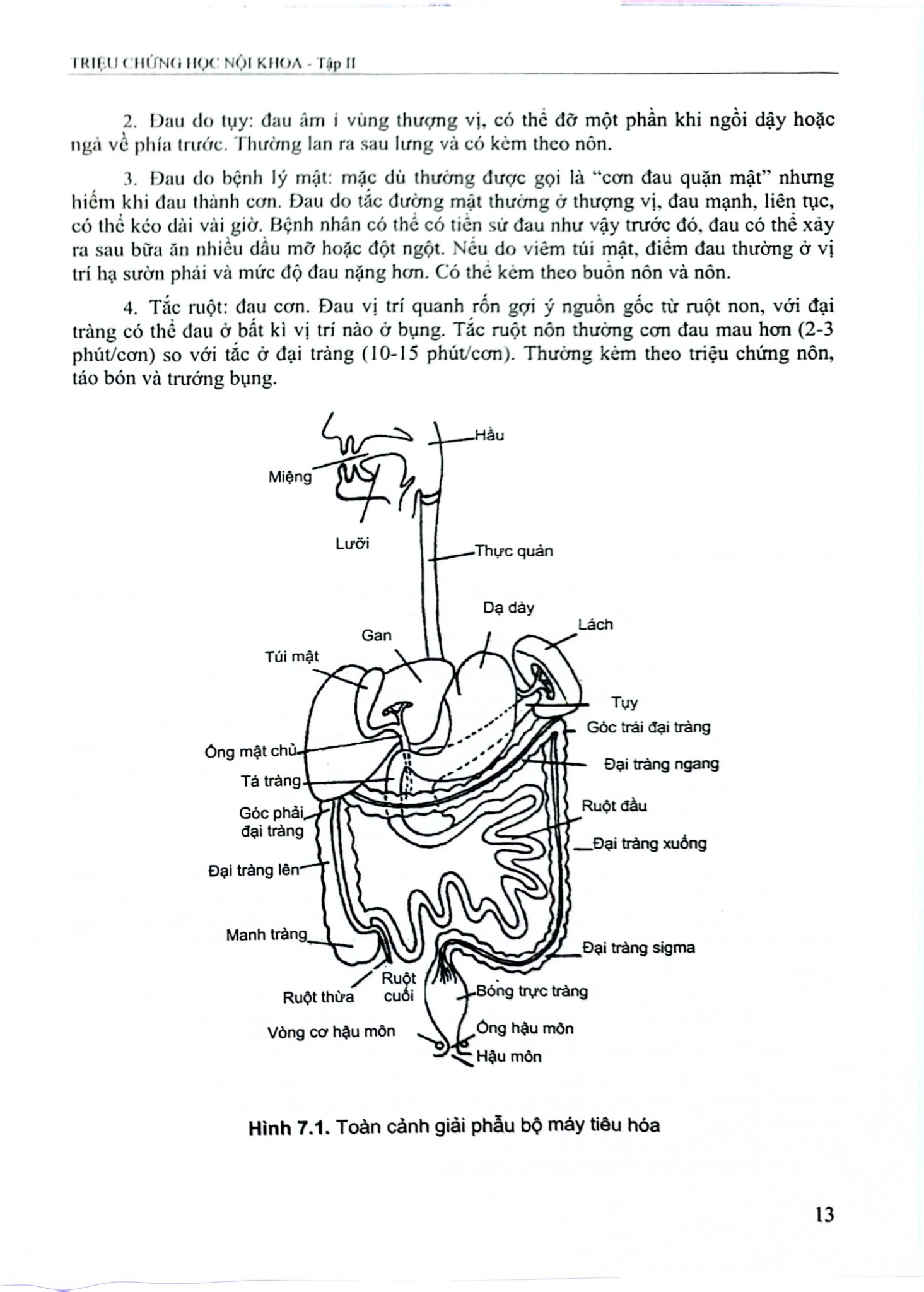 Triệu Chứng Học Nội Khoa Tập 2 (2023) - ĐH Y Hà Nội- Các Bộ môn Nội