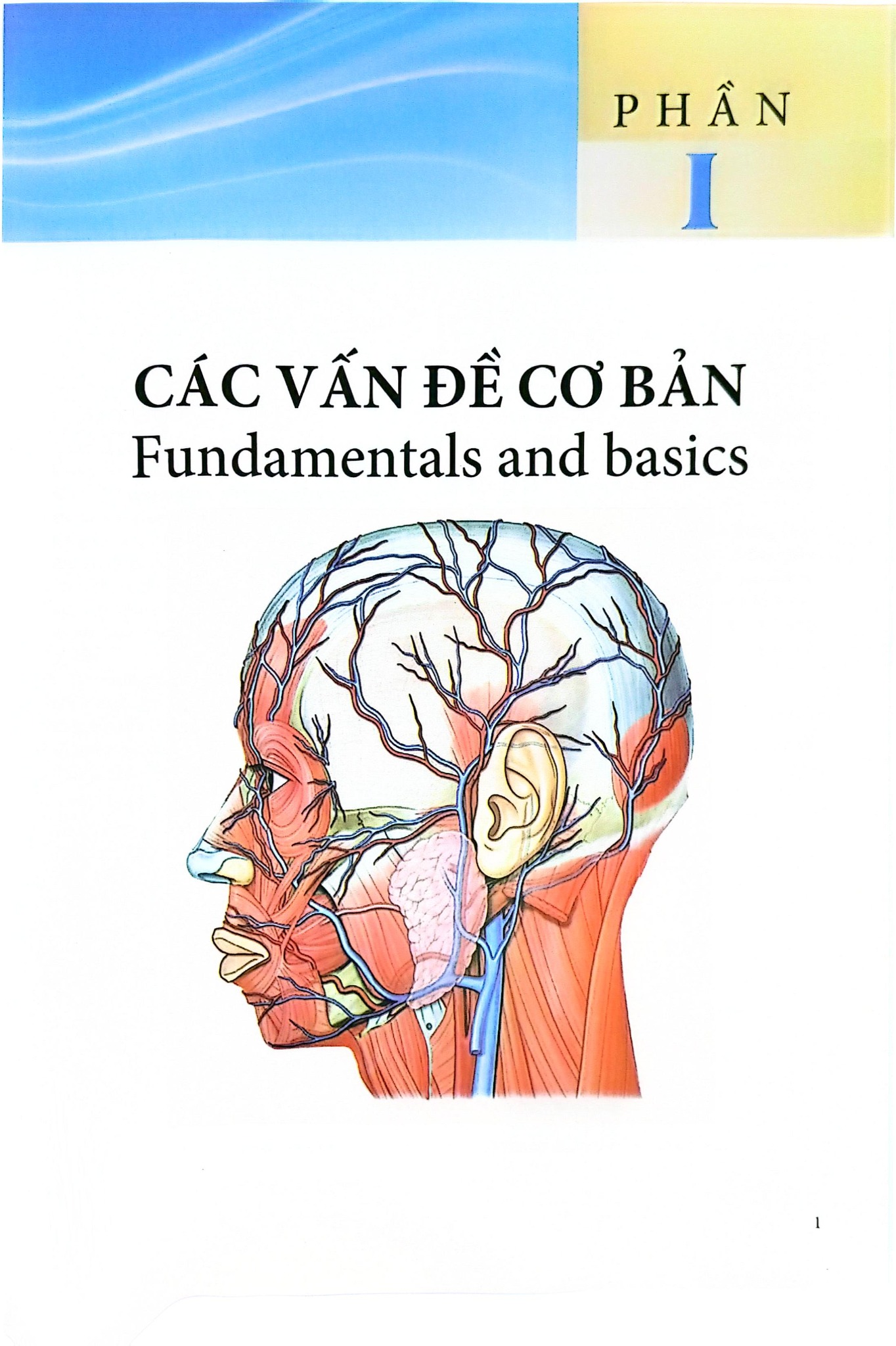Phẫu Thuật Tạo Hình Thẩm Mỹ Da Đầu - ĐH Y Hà Nội, Trần Thiết Sơn
