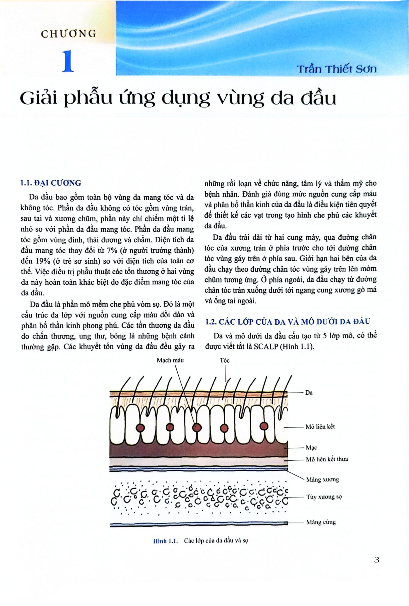 Phẫu Thuật Tạo Hình Thẩm Mỹ Da Đầu - ĐH Y Hà Nội, Trần Thiết Sơn