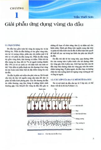  Phẫu Thuật Tạo Hình Thẩm Mỹ Da Đầu - ĐH Y Hà Nội, Trần Thiết Sơn 