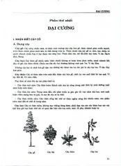 Từ Điển Cây Thuốc Việt Nam Tập 1 - GS. Võ Văn Chi