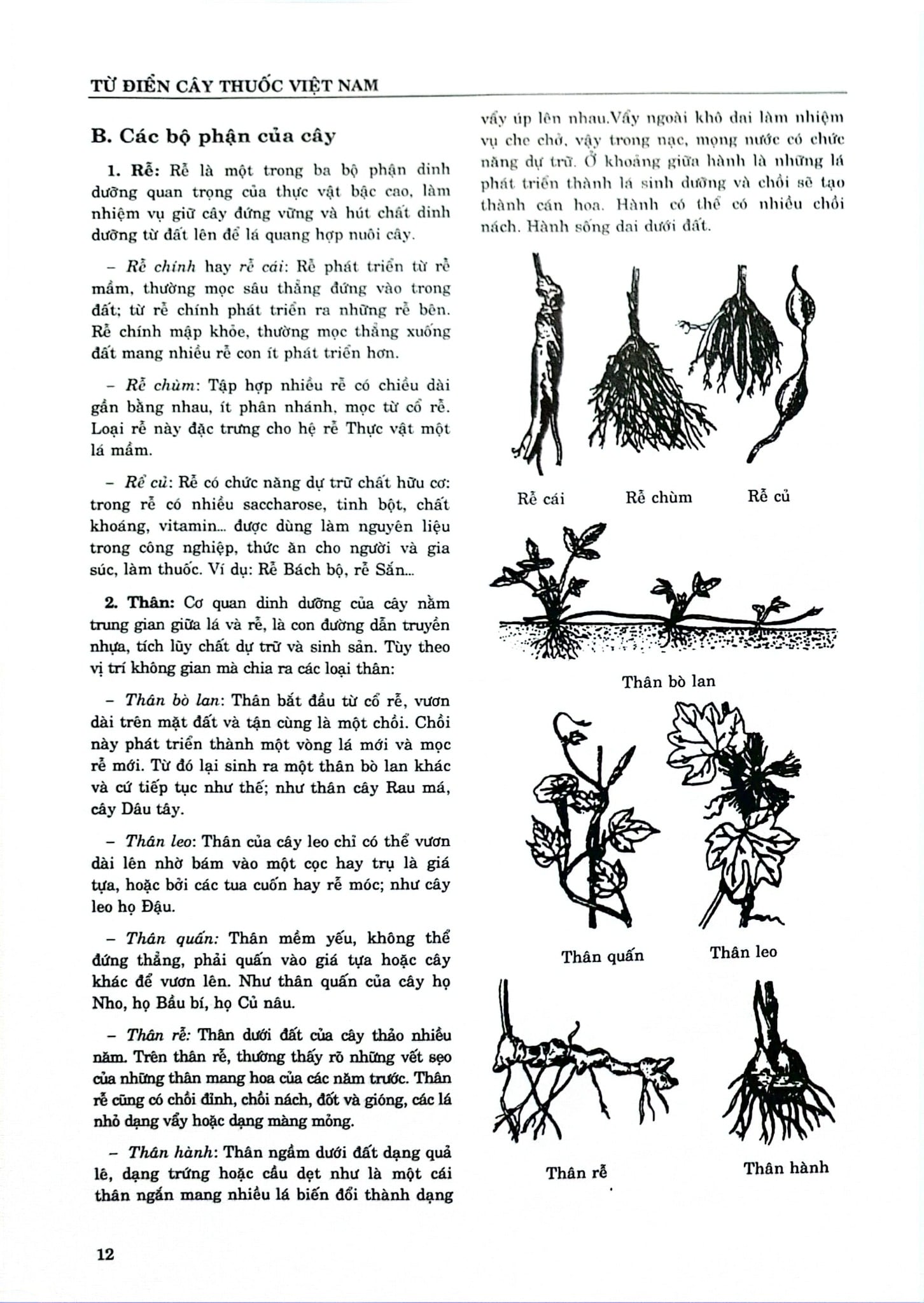 Từ Điển Cây Thuốc Việt Nam Tập 1 - GS. Võ Văn Chi