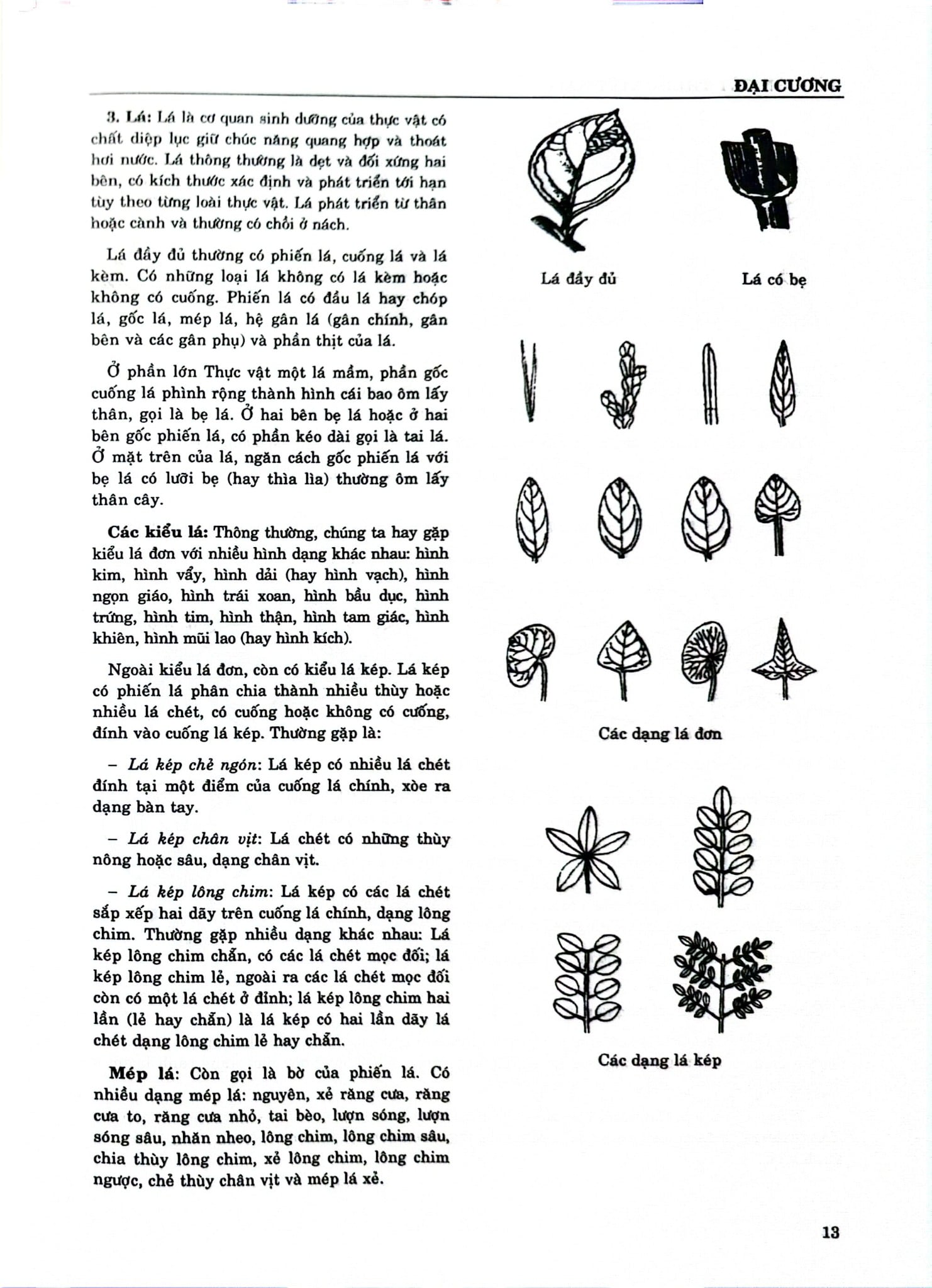 Từ Điển Cây Thuốc Việt Nam Tập 1 - GS. Võ Văn Chi