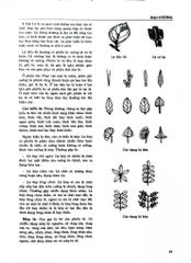 Từ Điển Cây Thuốc Việt Nam Tập 1 - GS. Võ Văn Chi