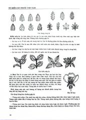 Từ Điển Cây Thuốc Việt Nam Tập 1 - GS. Võ Văn Chi