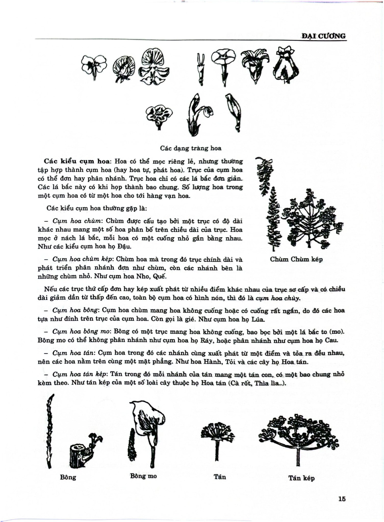 Từ Điển Cây Thuốc Việt Nam Tập 1 - GS. Võ Văn Chi