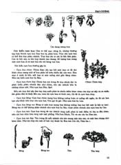 Từ Điển Cây Thuốc Việt Nam Tập 1 - GS. Võ Văn Chi