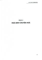 Hóa Sinh Y Học (Giáo Trình Đào Tạo Sau Đại Học) - ĐH Y Hà Nội, GS.BS. Tạ Thành Văn