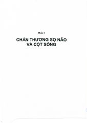 Bệnh Học Ngoại Khoa Thần Kinh (Dùng Cho Đào Tạo Sau Đại Học) - ĐH Y Hà Nội