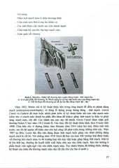 Chấn Thương - Vết Thương - Mạch Máu (Sách Dùng Cho Học Viên Sau Đại Học Và Bác Sĩ Chuyên Khoa) - ĐH Y Hà Nội