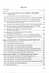 Chấn Thương - Vết Thương - Mạch Máu (Sách Dùng Cho Học Viên Sau Đại Học Và Bác Sĩ Chuyên Khoa) - ĐH Y Hà Nội
