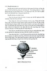 Điều Dưỡng Sản Phụ Khoa (Dùng Cho Đào Tạo Cử Nhân Điều Dưỡng) - ĐH Y Hà Nội