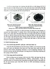 Điều Dưỡng Sản Phụ Khoa (Dùng Cho Đào Tạo Cử Nhân Điều Dưỡng) - ĐH Y Hà Nội