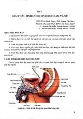 Điều Dưỡng Sản Phụ Khoa (Dùng Cho Đào Tạo Cử Nhân Điều Dưỡng) - ĐH Y Hà Nội
