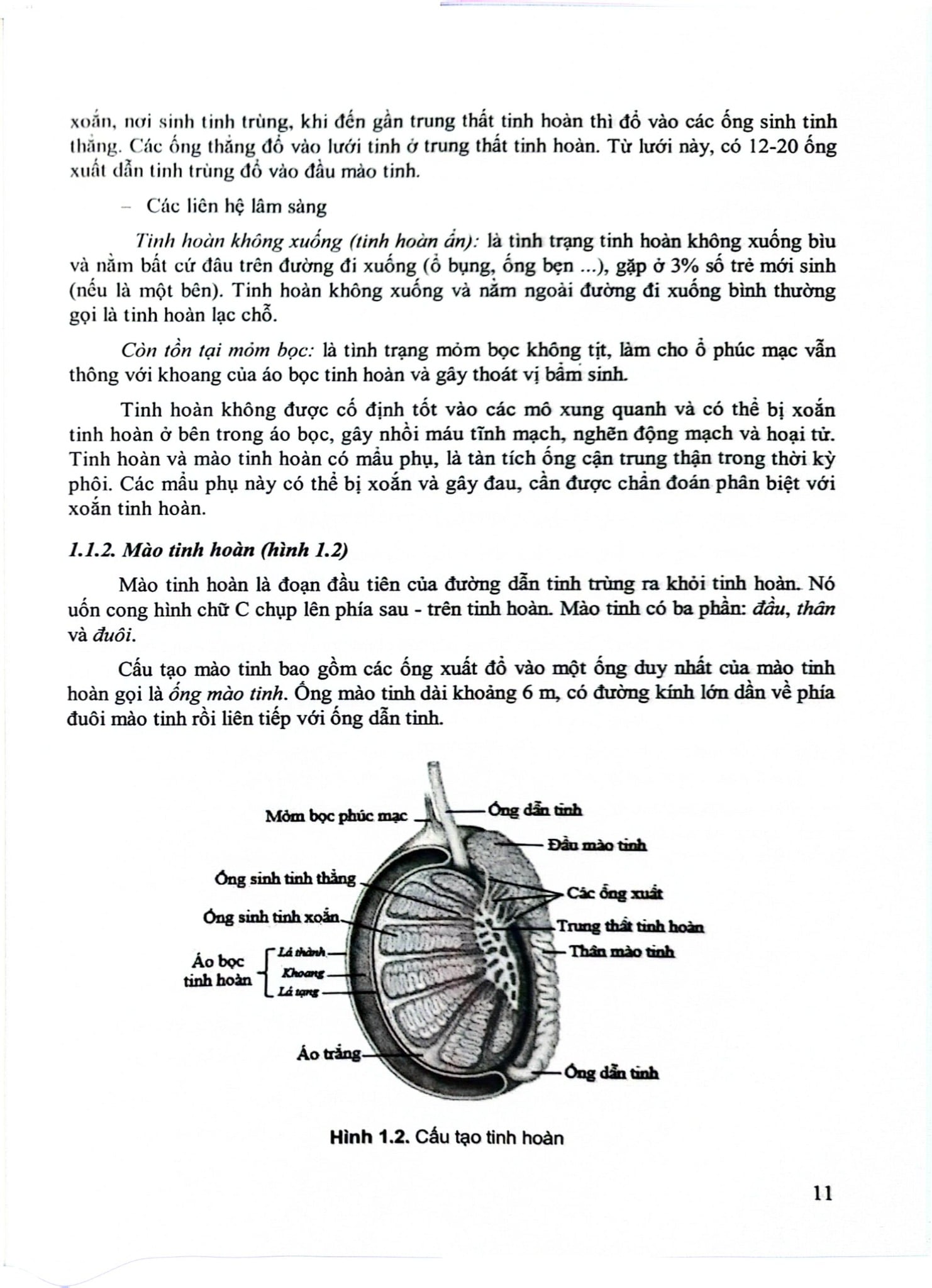 Điều Dưỡng Sản Phụ Khoa (Dùng Cho Đào Tạo Cử Nhân Điều Dưỡng) - ĐH Y Hà Nội