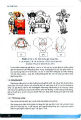 Chẩn Đoán Và Điều Trị Gãy Xương Trật Khớp Chi Dưới (SĐH) - ĐH Y Hà Nội, GS.TS Trần Trung Dũng