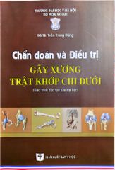 Chẩn Đoán Và Điều Trị Gãy Xương Trật Khớp Chi Dưới (SĐH) - ĐH Y Hà Nội, GS.TS Trần Trung Dũng