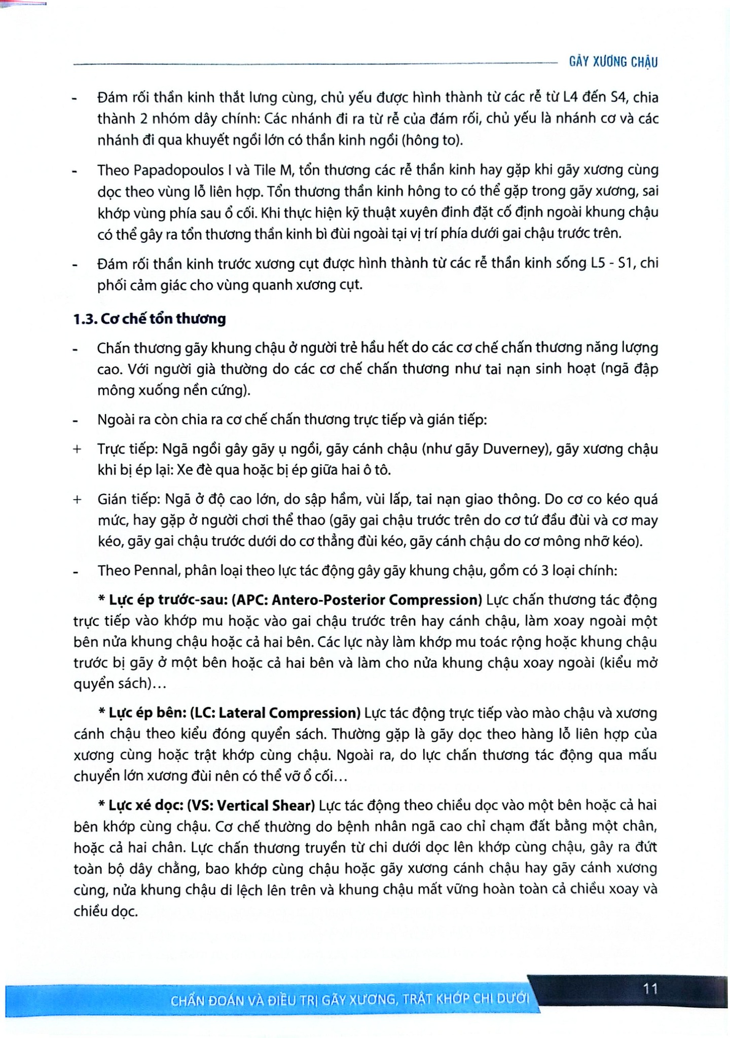 Chẩn Đoán Và Điều Trị Gãy Xương Trật Khớp Chi Dưới (SĐH) - ĐH Y Hà Nội, GS.TS Trần Trung Dũng