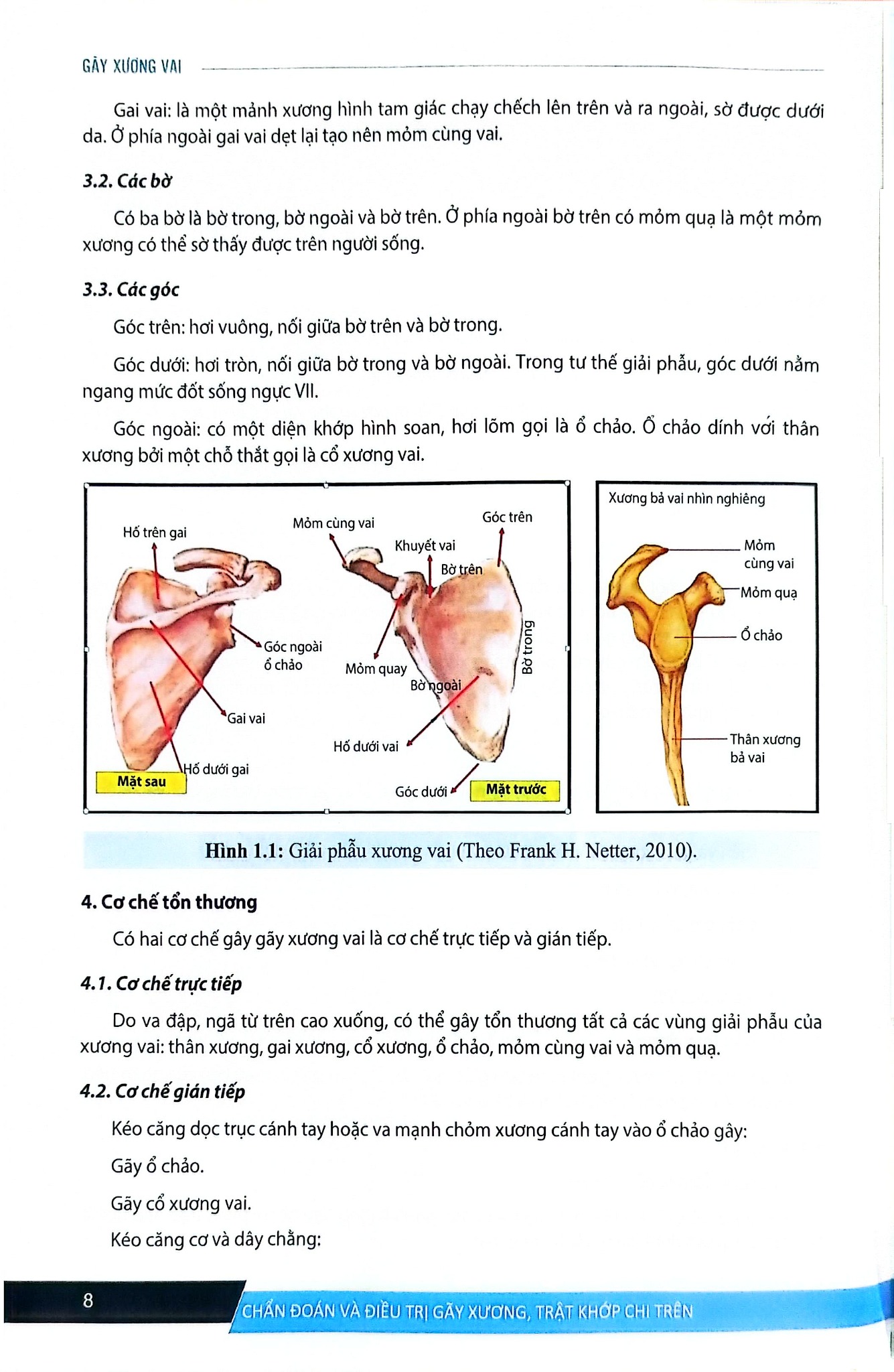 Chẩn Đoán Và Điều Trị Gãy Xương Trật Khớp Chi Trên (Giáo Trình Đào Tạo Sau Đại Học) - ĐH Y Hà Nội, GS.TS Trần Trung Dũng