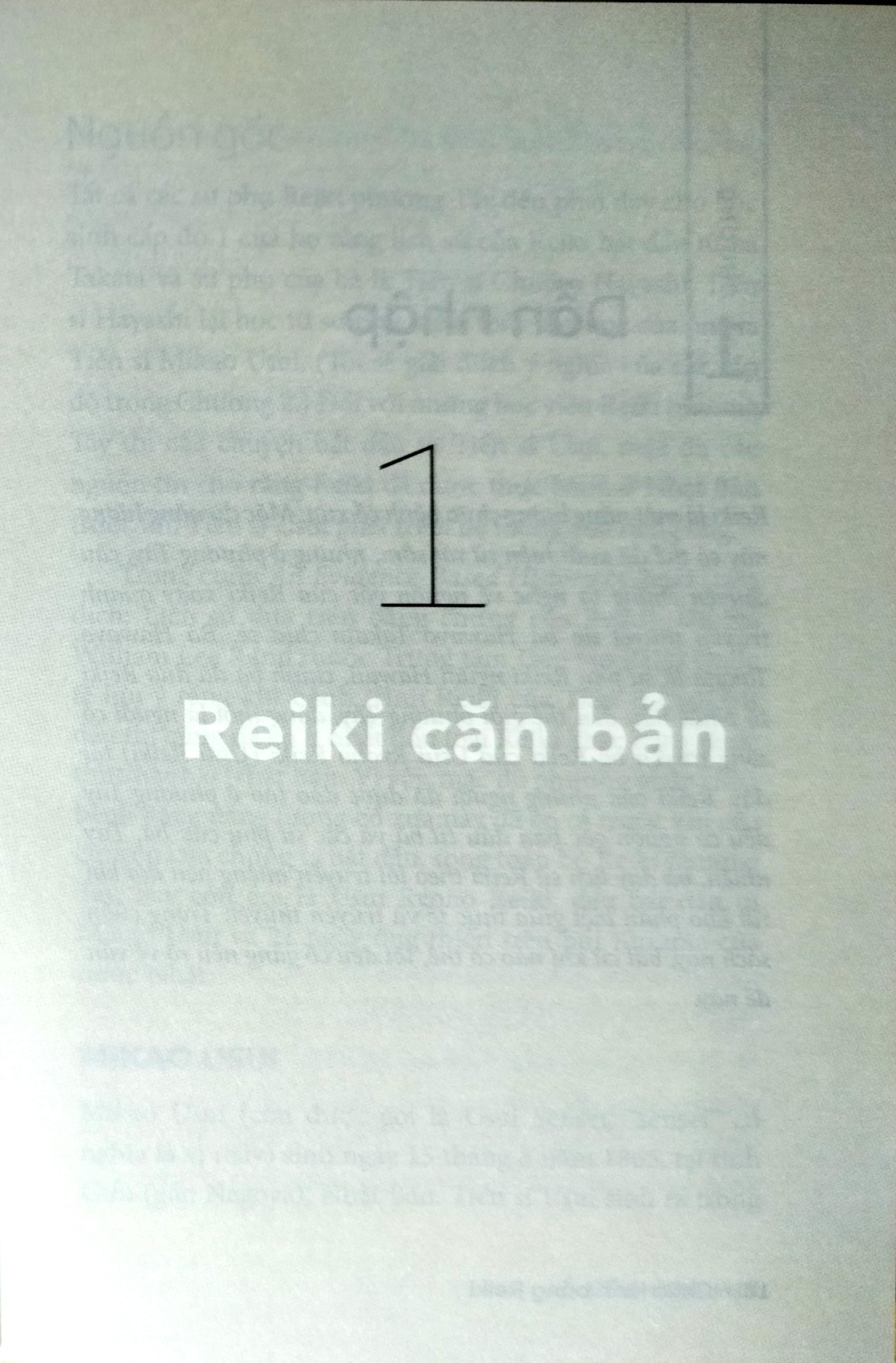 Chữa Lành Bằng Reiki - 
Karen Frazier